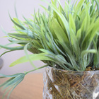 Kit Com 2 Arranjos Folhagem E Suculentas No Vaso De Vidro | F